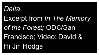 Delta
Excerpt from In The Memory of the Forest; ODC/San Francisco; Video: David &  Hi Jin Hodge